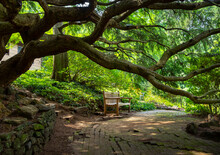 An Idyllic Bench Sits Underneath A Huge Tree With A Large Branch Leaning Over Creating A Cozy Green Garden Scene