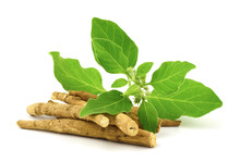 Ashwagandha Dry Root Medicinal Herb With Fresh Leaves, Also Known As Withania Somnifera, Ashwagandha, Indian Ginseng, Poison Gooseberry, Or Winter Cherry. Isolated On White Background.