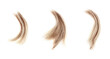 Blond wavy lock of hair set on white background isolated closeup, cut off natural blonde hair curl, haircut, hairstyle, human hair texture, clipping hair, hair snip, shearing, hairdo, coiffure, barber