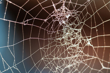 Tangled spider web or cobweb with blurred background