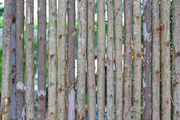  Small eucalyptus wood log fence background.