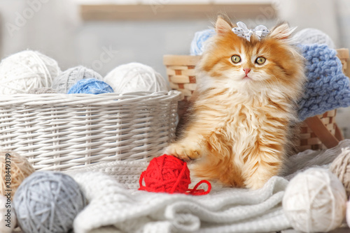 Fotomural Cute kitten with a bow in a basket with balls of yarn