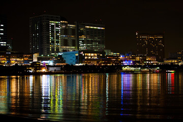 Canvas Print - お台場海浜公園の夜景