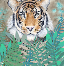 Watercolor Picture Of The Tiger Lying In Green Ferns With Sepia Background