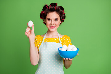 Sticker - Photo of lovely adorable young girl roller hairstyle toothy smile hold bowl eggs presenting showing one best harvest dozen wear dotted apron shirt isolated green color background