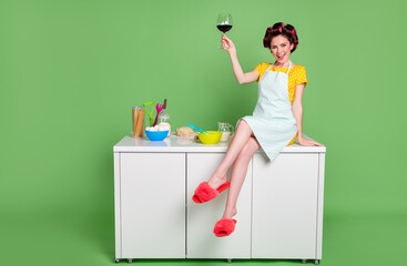 Sticker - Full size photo of charming lady sit table kitchen curlers hair housewife good mood drink red wine alcohol rest time wear pinup dotted dress apron slippers isolated green color background