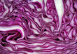 canvas print picture - Fresh red cabbage texture background. top view. natural purple background