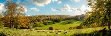 Autumn Farmland Scene Of With Sheep In A Field In The Beautiful Surrey Hills, England