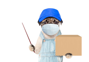 Wall Mural - Pug puppy wearing medical protective mask, blue cap and overalls holds big box and points away on empty space. isolated on white background