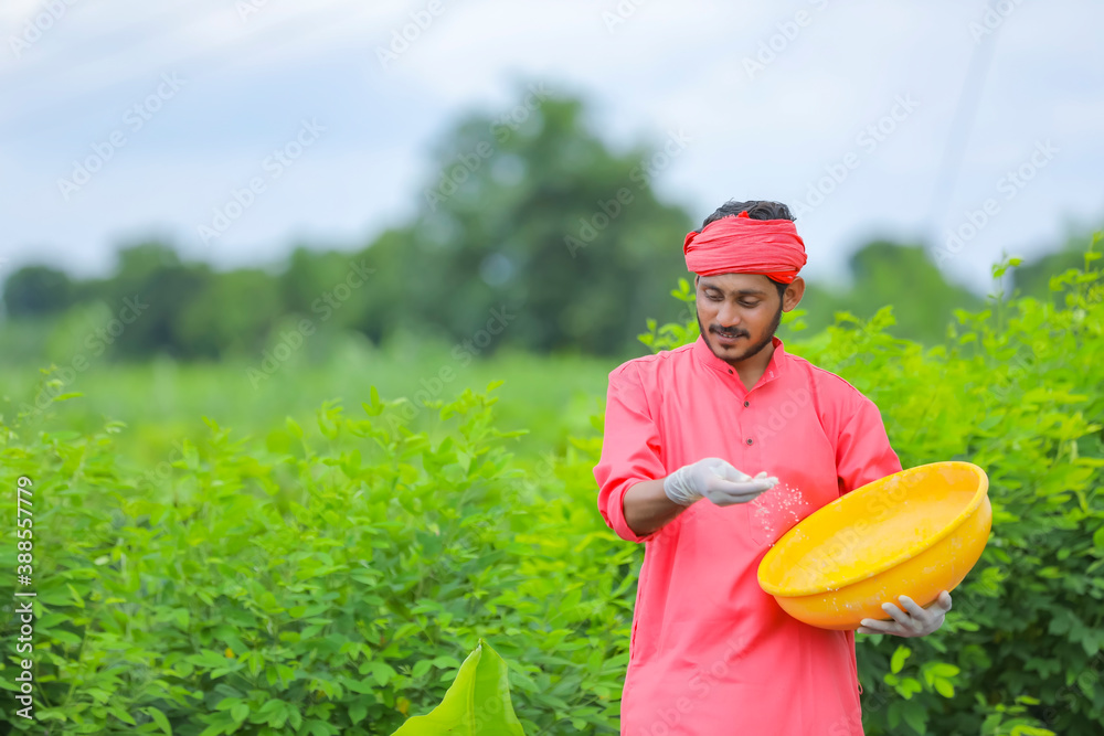 Indian farmer spreading fertilizer in the green banana field Stock ...
