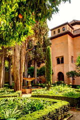 Wall Mural - Alhambra Gardens, Granada, HDR Image