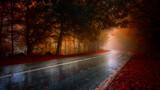 Fototapeta Na drzwi - rainy autumn day in the forest