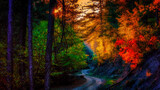 Fototapeta  - curved path through  autumn forest at sunset