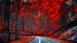 Fototapeta  - curved road through a red forest