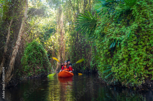 Fotografía Asian tourists, women and men canoe or kayak in mangrove forests