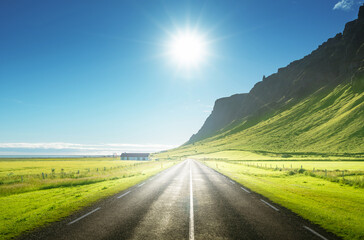 Wall Mural - sunny road in summer iceland