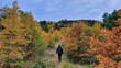 © inaki62 - Paseo en la montaña, en Otoño.