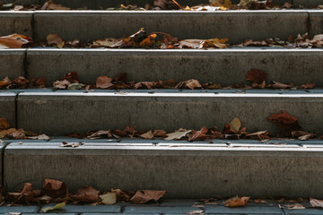 Wall Mural - Concrete staircase with dry yellow leaves outdoors