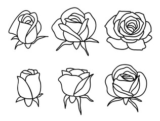Aufkleber - One line drawing. Garden roses bud. Hand drawn sketch. Set of flowers bud. Vector illustration.