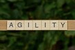 gray word agility made of wooden square letters on green background