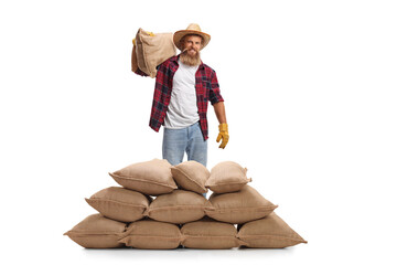 Poster - Bearded farmer carrying a sack on his shoulder and posing behind a pile of sacks