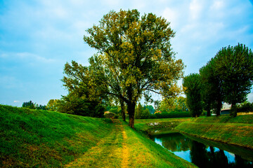 tree trail river