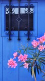 Fototapeta  - flowers in the door, flores en la ventana