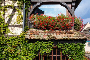 Canvas Print - Details and flowers on old building seen in Strasbourg France