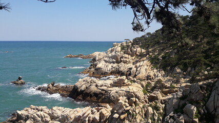 Wall Mural - Korea's oceans, cliffs, and scenic views.