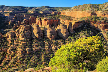 Wall Mural - Colorado National Monument, Grand Junction, USA