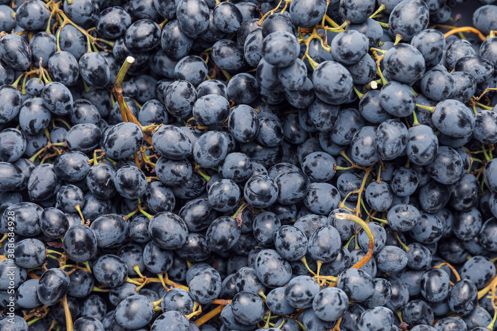 Sweet ripe grapes as background