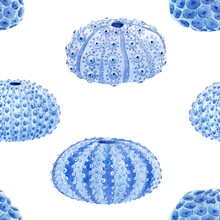 Beautiful Seamless Underwater Pattern With Watercolor Sea Urchin. Stock Illustration.