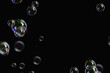canvas print picture - transparent colorful bubbles soap pattern overlay abstract particles splashes of water on black.