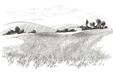 Vector Sketch Green Grass Field On Small Hills. Meadow, Alkali, Lye, Grassland, Pommel, Lea, Pasturage, Farm. Rural Scenery Landscape Panorama Of Countryside Pastures. Illustration