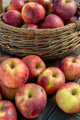 Canvas Print - Basket of fresh apples on the wooden table in garden