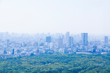 Canvas Print - 都庁展望台から見た眺め