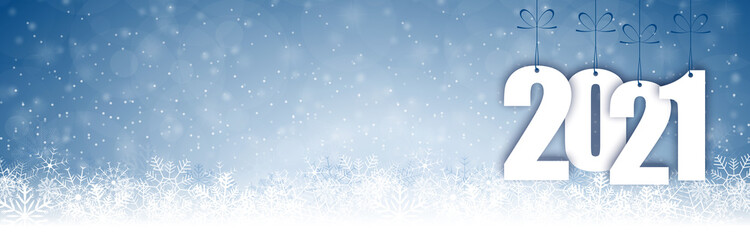 Wall Mural - snow fall background for christmas and New Year 2021