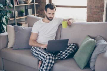 Canvas Print - Photo of concentrated marketer lawyer man sit divan hold caffeine beverage mug work distance laptop read colleagues start-up aim progress presentation in house indoors