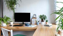 Blank Screen Of Monitor In Computer On Wooden Office Desk In Stylish Business Room With White Wall And Mock Up. Light Interior Of Office Space With Plants And Laptop In Vintage Style. Banner.