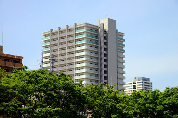 Poster - 緑に囲まれた高層マンション