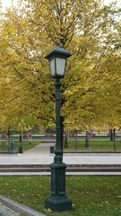 Wall Mural - street lamp in the park