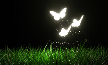 Glowing Butterflies Flying Above The Lawn There Is A Glow In The Dark In A Fantasy Theme. Butterflies Fly In The Dark On The Field. 3d Rendering