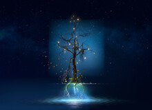 Mysterious Illuminated Floating Tree Above Water