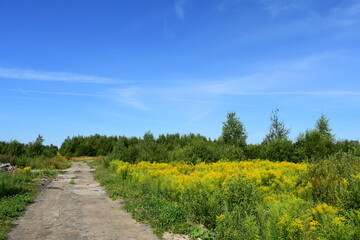 road in the countryside