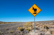 A pronghorn antelope crossing road sign along Highway 140 in Sheldon National Wildlife Refuge, Washoe County, Nevada, USA