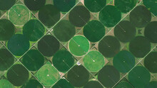 Center Pivot Irrigation System, Circular Fields And Food Safety, Looking Down Aerial View From Above, Bird’s Eye Circular Fields 