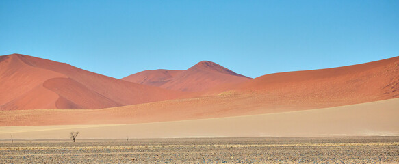 amazing landscape in namibia, africa