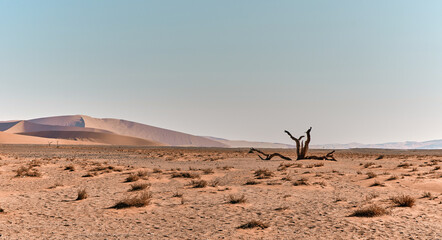 Wall Mural - Amazing landscape in Namibia, Africa