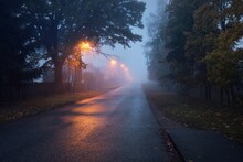 An Empty Illuminated Country Asphalt Road Through The Trees And Village In A Fog On A Rainy Autumn Day, Street Lanterns Close-up, Red Light. Road Trip, Transportation, Communications, Driving