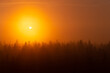 © Timefocus Films - sunset through the fog